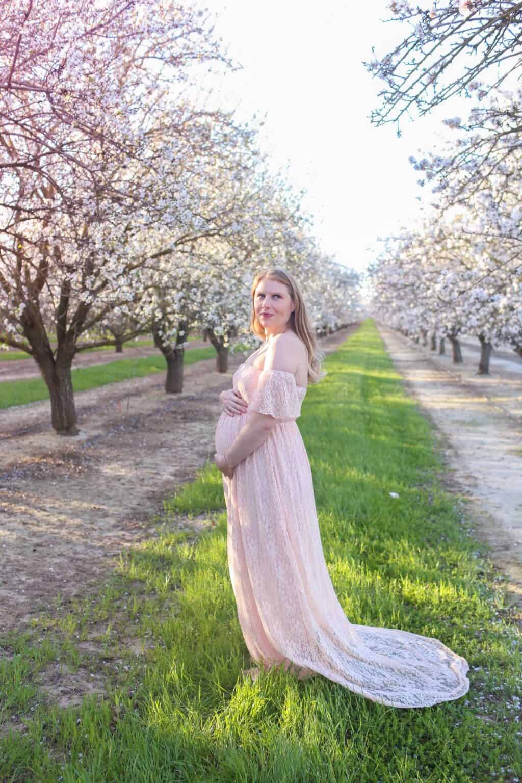 Rent A Sheer orange net maternity gown main image 0